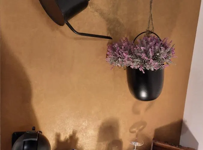 Luky 9 Apartman Brassó